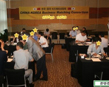 2013 중국 상하이 차이나조이+게임 수출상담회